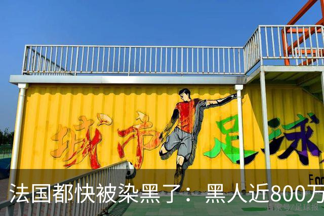法国都快被染黑了：黑人近800万，巴黎的新生儿，黑皮肤近70%