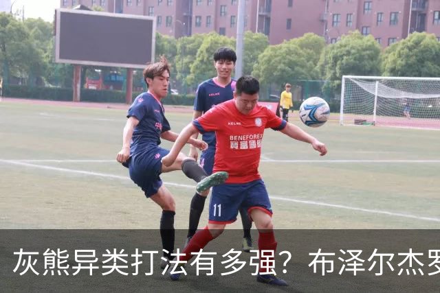 灰熊异类打法有多强？布泽尔杰罗姆怎么打？战术红利将短期开启