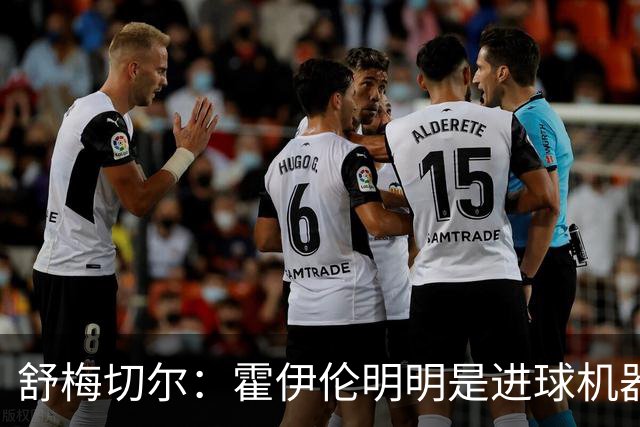 舒梅切尔：霍伊伦明明是进球机器，维韦尔来了偏要换成谢什科