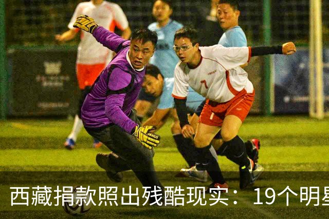 西藏捐款照出残酷现实：19个明星投奔黄晓明，韩红只有一串数字